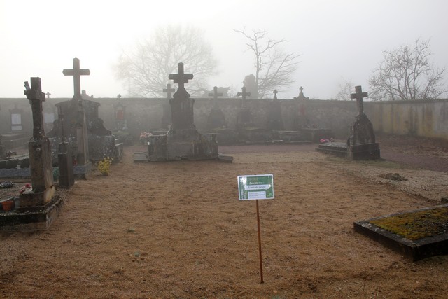 cimetière 1